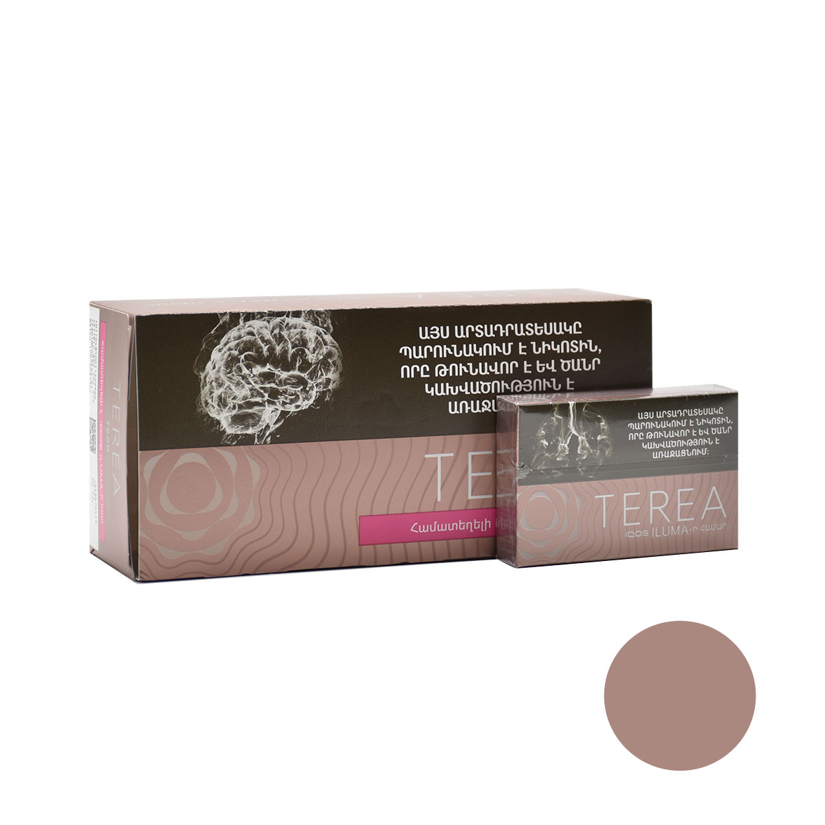 سیگار ترا ارمنی تیک/طعم فندق/TEREA TEAK