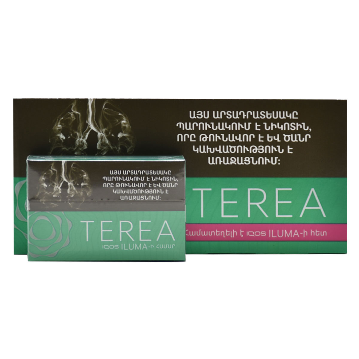 سیگار ترا گرین ارمنی /باطعم نعنا یخ/TEREA GREEN