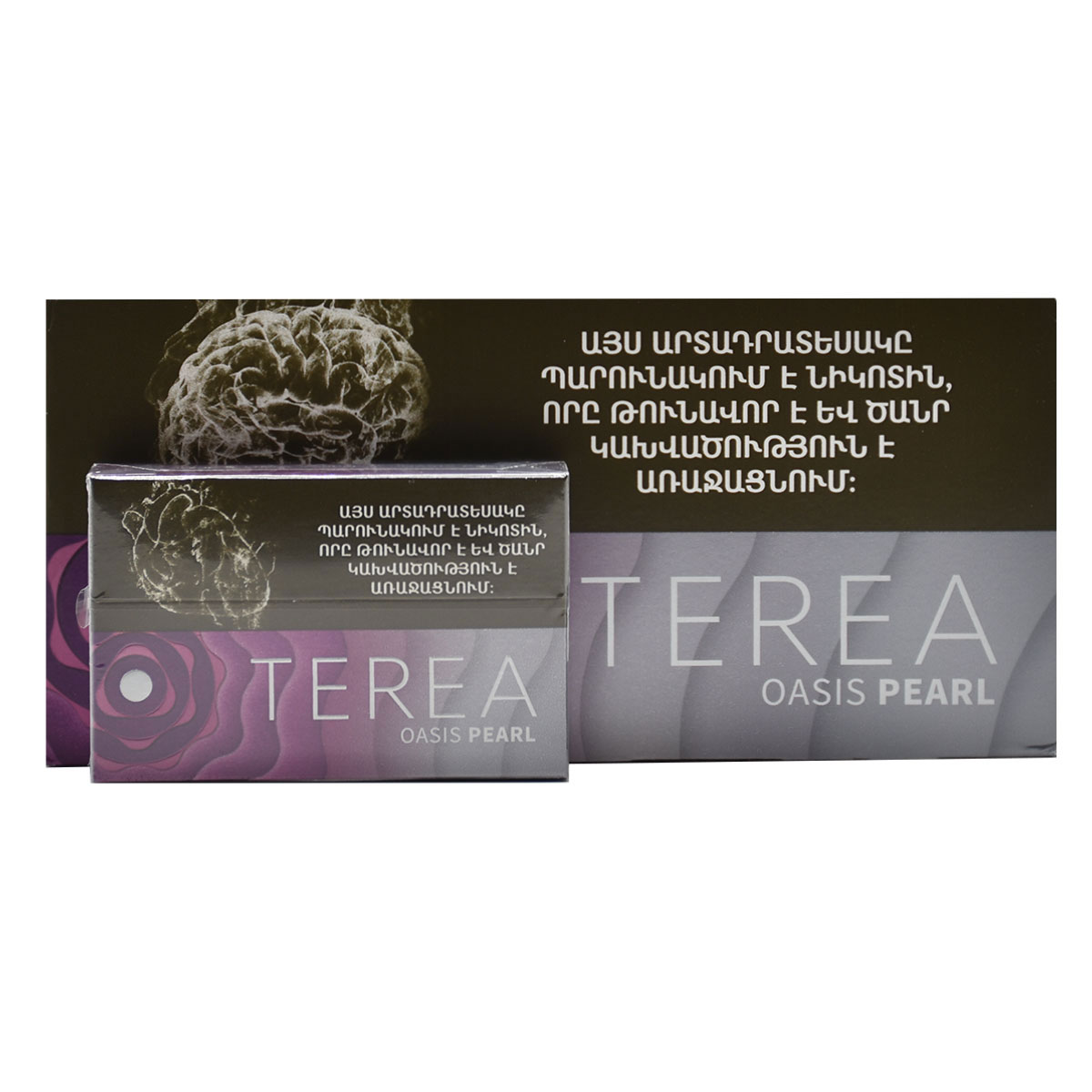 سیگار ترا اوسیس پرل ارمنی | طعم تمشک انگور TEREA OASIS PEARL