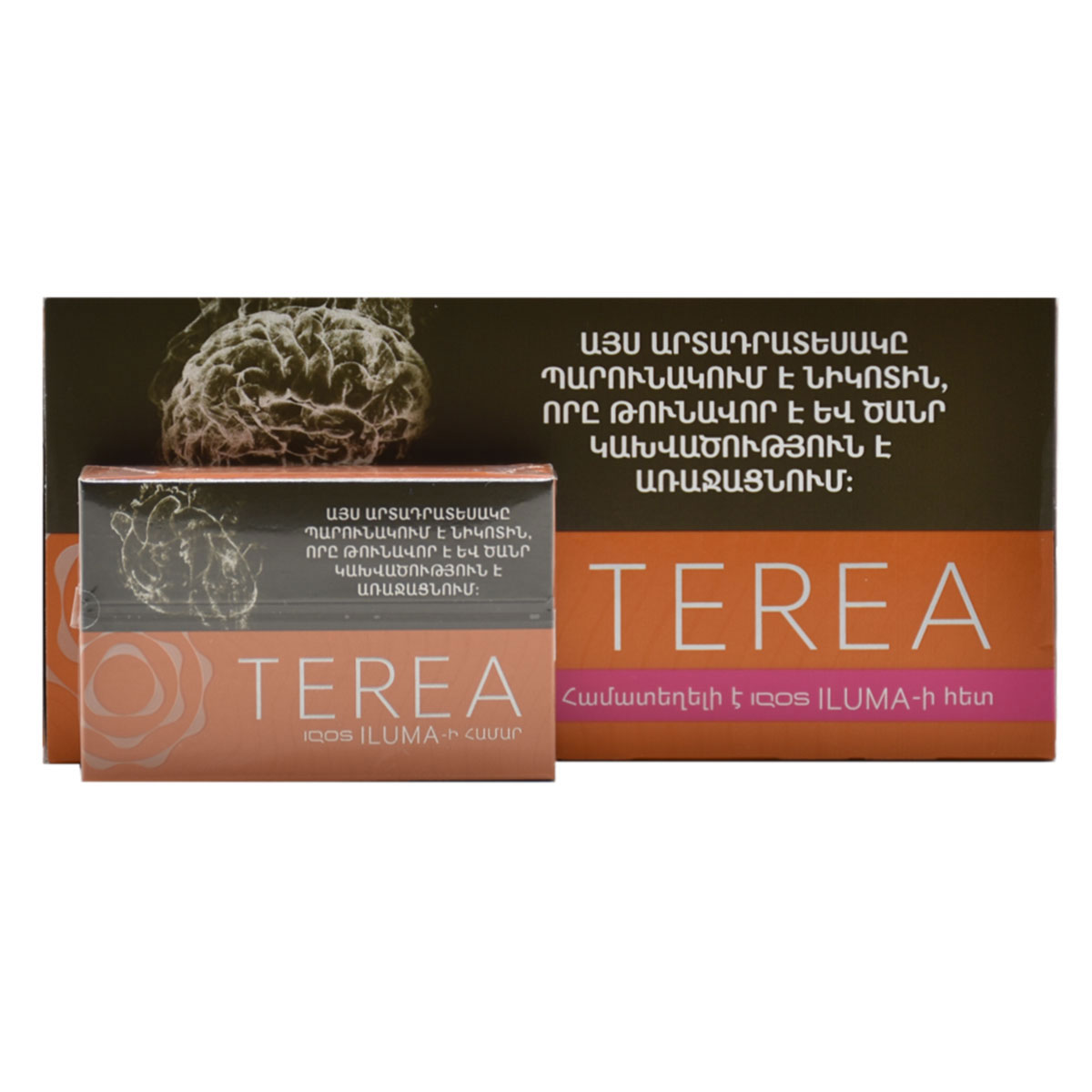 سیگار ترا امبر ارمنی|طعم آجیل و متوسط/TEREA AMBER