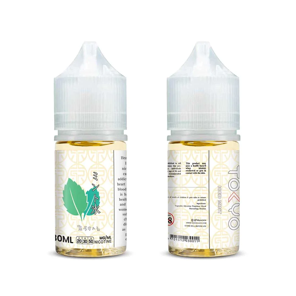سالت نعنا یخ توکیو /tokyo iced menthol