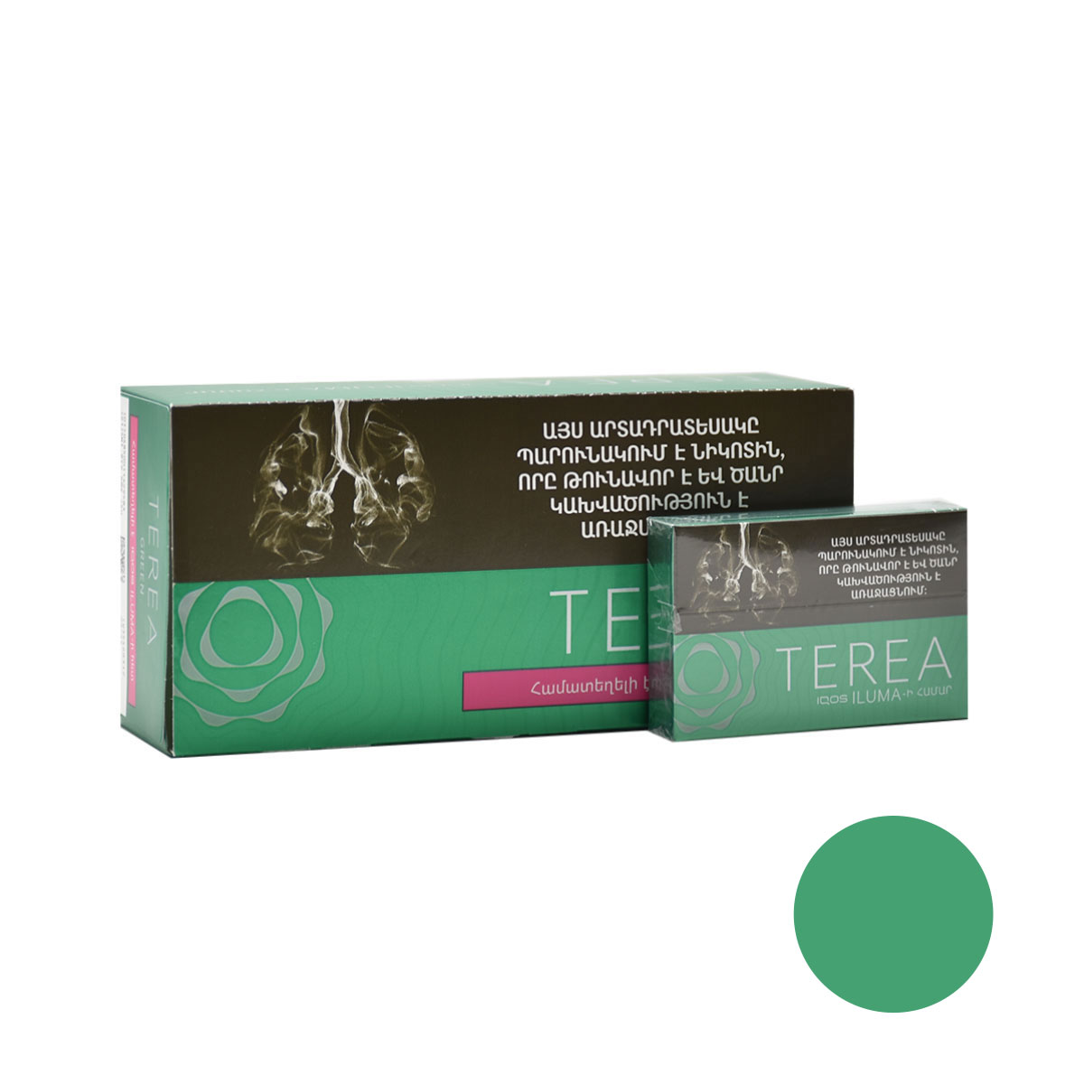 سیگار ترا گرین ارمنی /باطعم نعنا یخ/TEREA GREEN