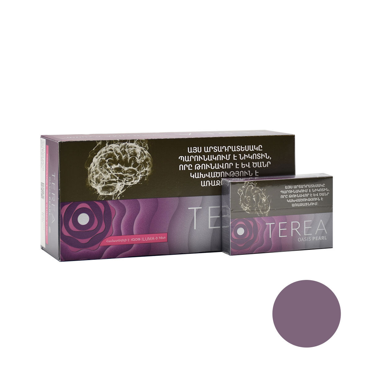 سیگار ترا اوسیس پرل ارمنی | طعم تمشک انگور TEREA OASIS PEARL